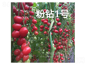 ���@1̖(h��o)-С���ѷN��-���@�N�I(y��)