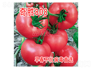 ���808-���ѷN��-���@�N�I(y��)