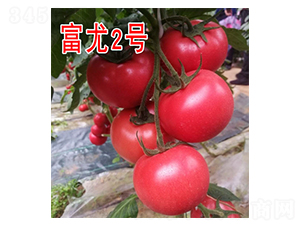 ����2̖(h��o)-���ѷN��-���@�N�I(y��)