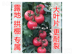 ���R�d-���ѷN��-���@�N�I(y��)