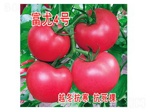 ����4̖-���ѷN��-���@�N�I(y��)