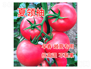 ���I��-���ѷN��-���@�N�I(y��)