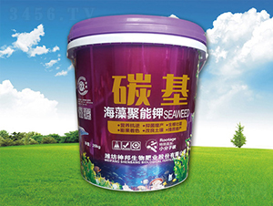 ��������-̼��-�������