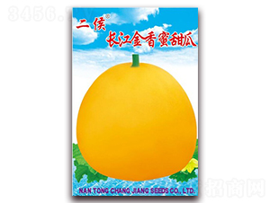 �L��������-��ϷN��-�L���N��