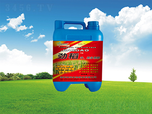 �ŵ��_ʩ��-�������