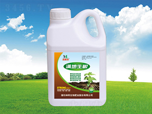 �M������Ͱ��-�������