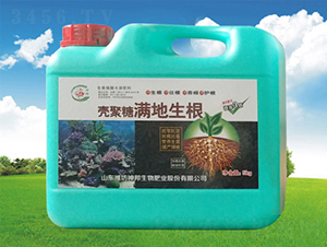 �����ǝM������-�������