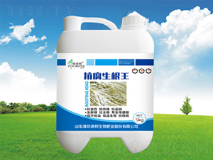 ����������-�������