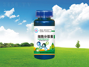 ��(x��)��������-������� 