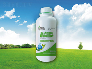 �������-�������