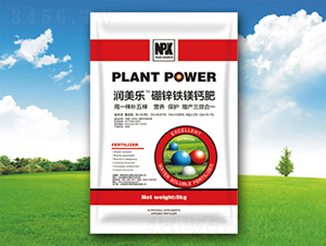 ���\�F�V�}��-�������