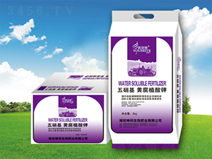 �������S�����-�������