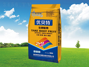 �������-�������