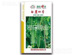 ��´��̖(h��o)-�S�ϷN��-���зN�I(y��)