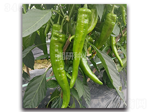 ���S72-ţ�ǽ��N��-���зN�I(y��)