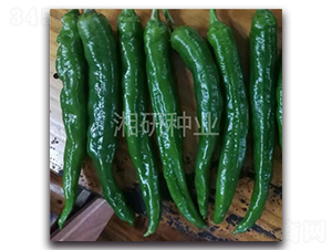 ܛƤ2307-ţ�ǽ��N��-���зN�I(y��)