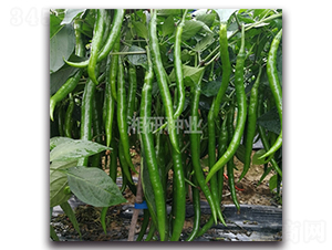 ����27-�����N��-���зN�I(y��)