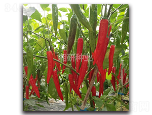 ����670-�����N��-���зN�I(y��)