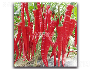 ������̖-�����N��-���зN�I(y��)