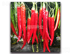 ����207-�����N��-���зN�I(y��)