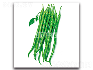 �L�d-�����N��-���зN�I(y��)