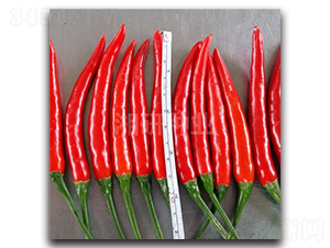 �w�G-���콷�N��-���зN�I(y��)