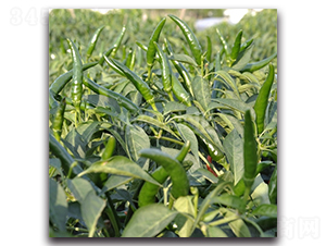 ����712-���콷�N��-���зN�I(y��)