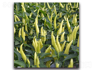 ����-���콷�N��-���зN�I(y��)