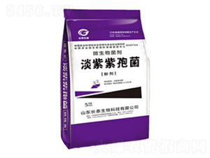 �������۾�-�L(zh��ng)̩����