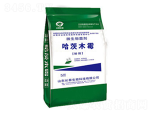 ����ľù�ۄ�-�L̩����