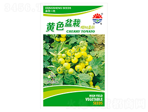 �|���Sɫ����-���ѷN��-�|���N�I(y��)