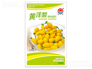 �|���S����-���ѷN��-�|���N�I(y��)