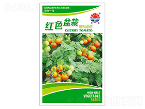 �|���t��-���ѷN��-�|���N�I(y��)