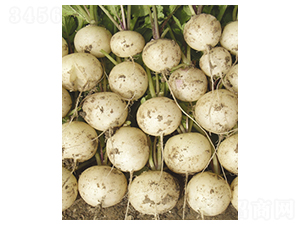 ����ʹ�����}��-�}���N��-�|���N�I(y��)