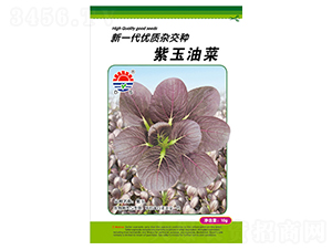 �|�������Ͳ�-�Ͳ˷N��-�|���N�I(y��)