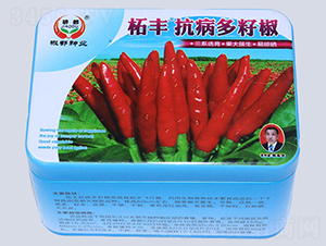 ���S�������ѽ�-�����N��-�����N�I(y��)