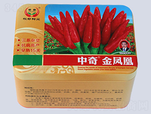 ������P��-�����N��-�����N�I(y��)