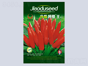 ������-�����N��-�����N�I(y��)