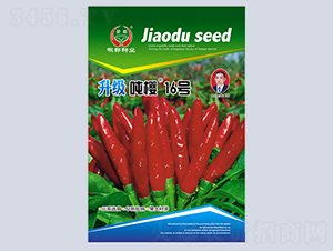 ����16̖(h��o)-�����N��-�����N�I(y��)