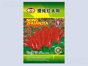 �ἃ�t̫�-�����N��-�����N�I(y��)