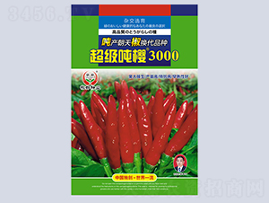 ����3000-�����N��-�����N�I(y��)