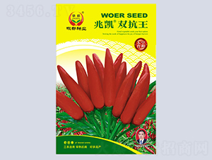 �ׄP�p����-�����N��-�����N�I(y��)