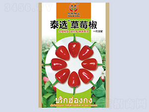 ̩�x��ݮ��-�����N��-�����N�I(y��)