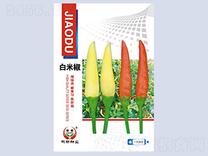 ���׽�-�����N��-�����N�I(y��)