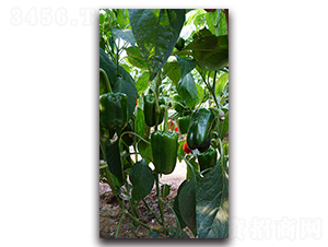 �����AF1-�����N��-Ψ�r(n��ng)�N�I(y��)