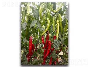 �t̫��һ̖-�����N��-Ψ�r(n��ng)�N�I(y��)