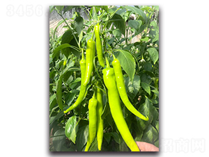 �G��һ̖F1-�����N��-Ψ�r(n��ng)�N�I(y��)