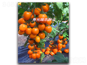 �S�_�RF1-���ҷ��ѷN��-Ψ�r(n��ng)�N�I(y��)