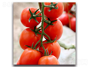 �t�_�RF1-���ҷ��ѷN��-Ψ�r(n��ng)�N�I(y��)