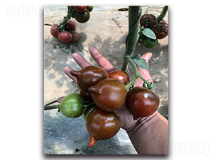 ����A-���ҷ��ѷN��-Ψ�r(n��ng)�N�I(y��)